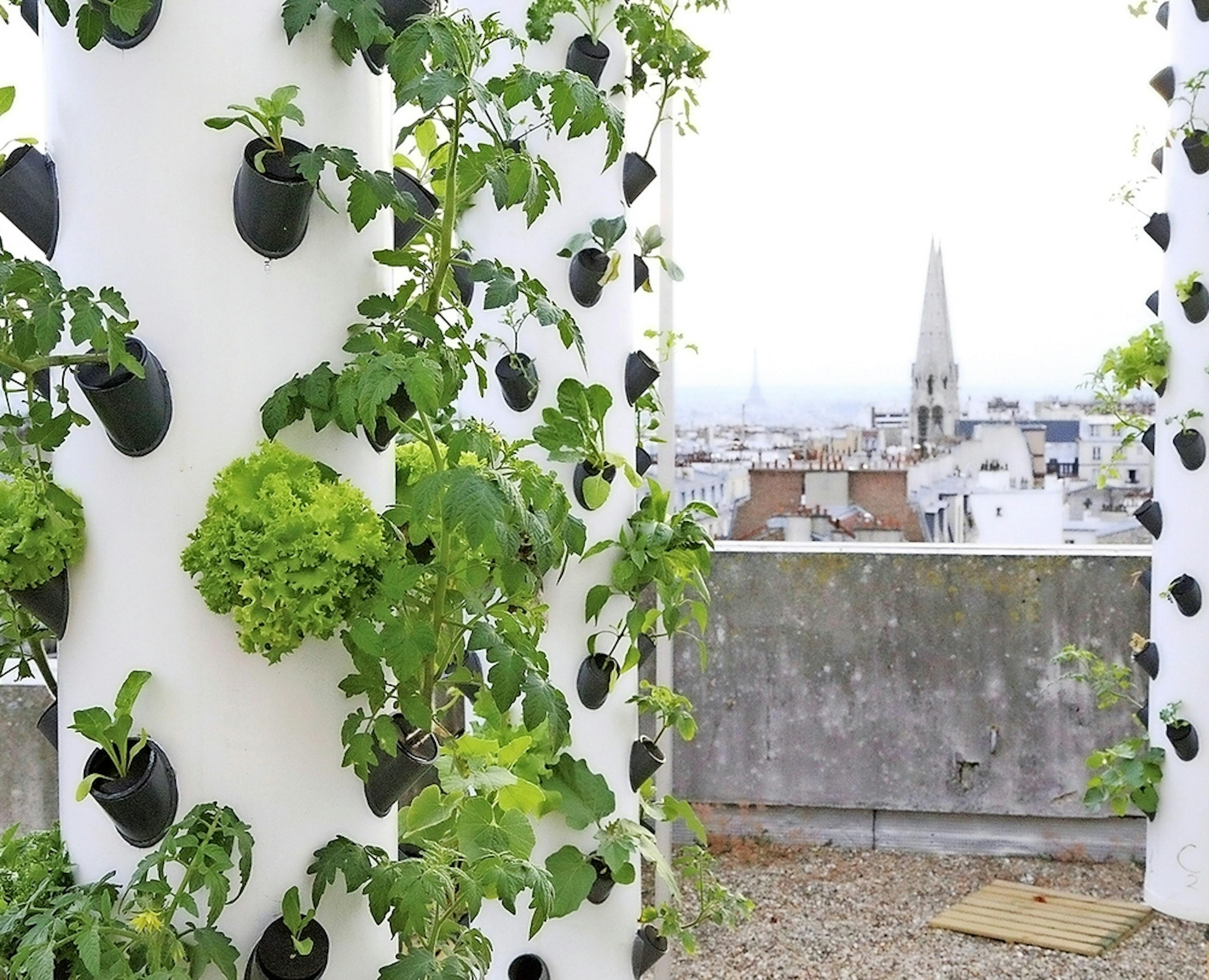 Agripolis est une société qui développe l’agriculture en installant et exploitant des fermes urbaines de production sur les toits parisiens inexploités. 