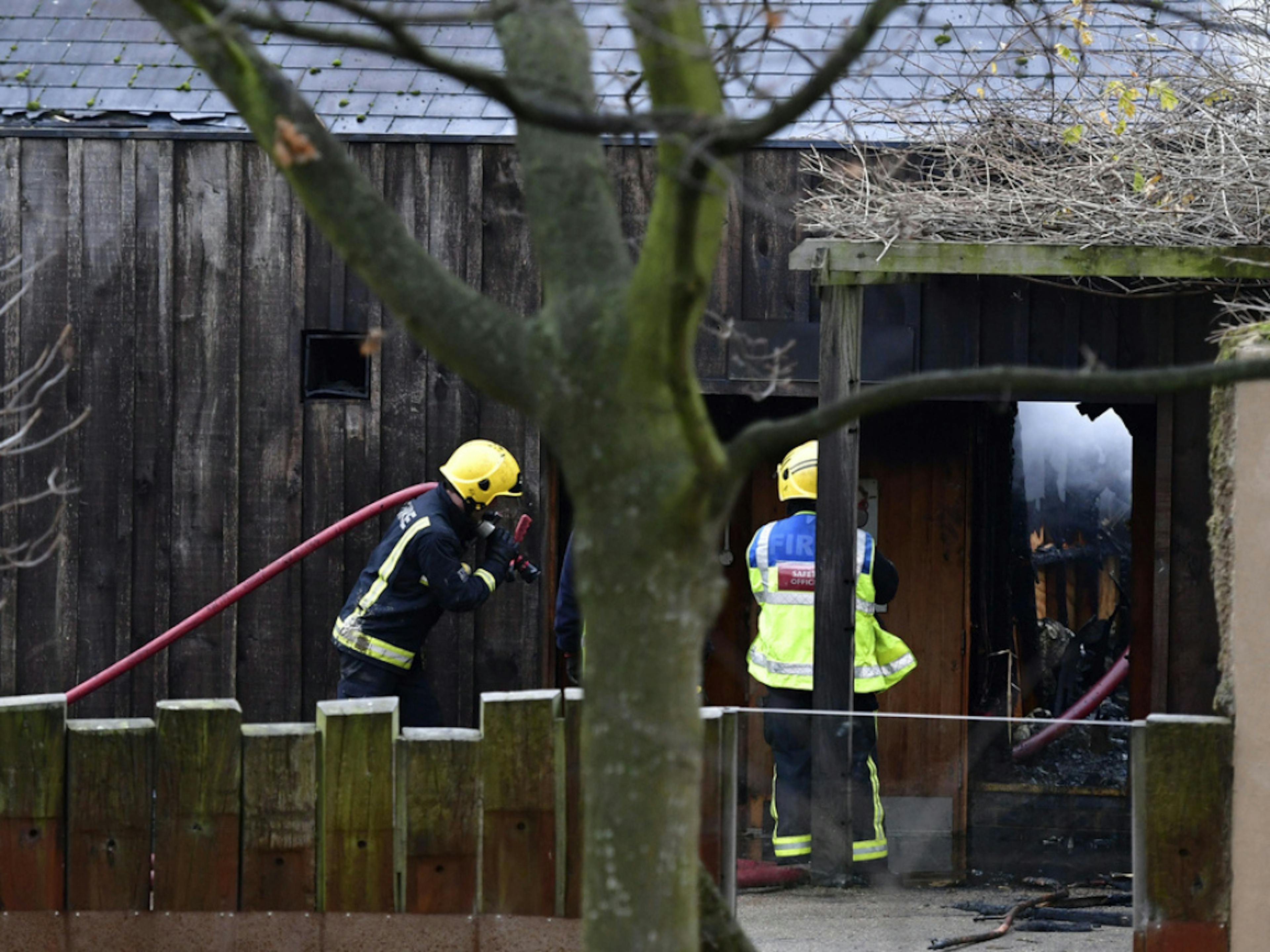 Le zoo de Londres a précisé qu'il sera fermé au public samedi et "restera fermé jusqu'à nouvel ordre".