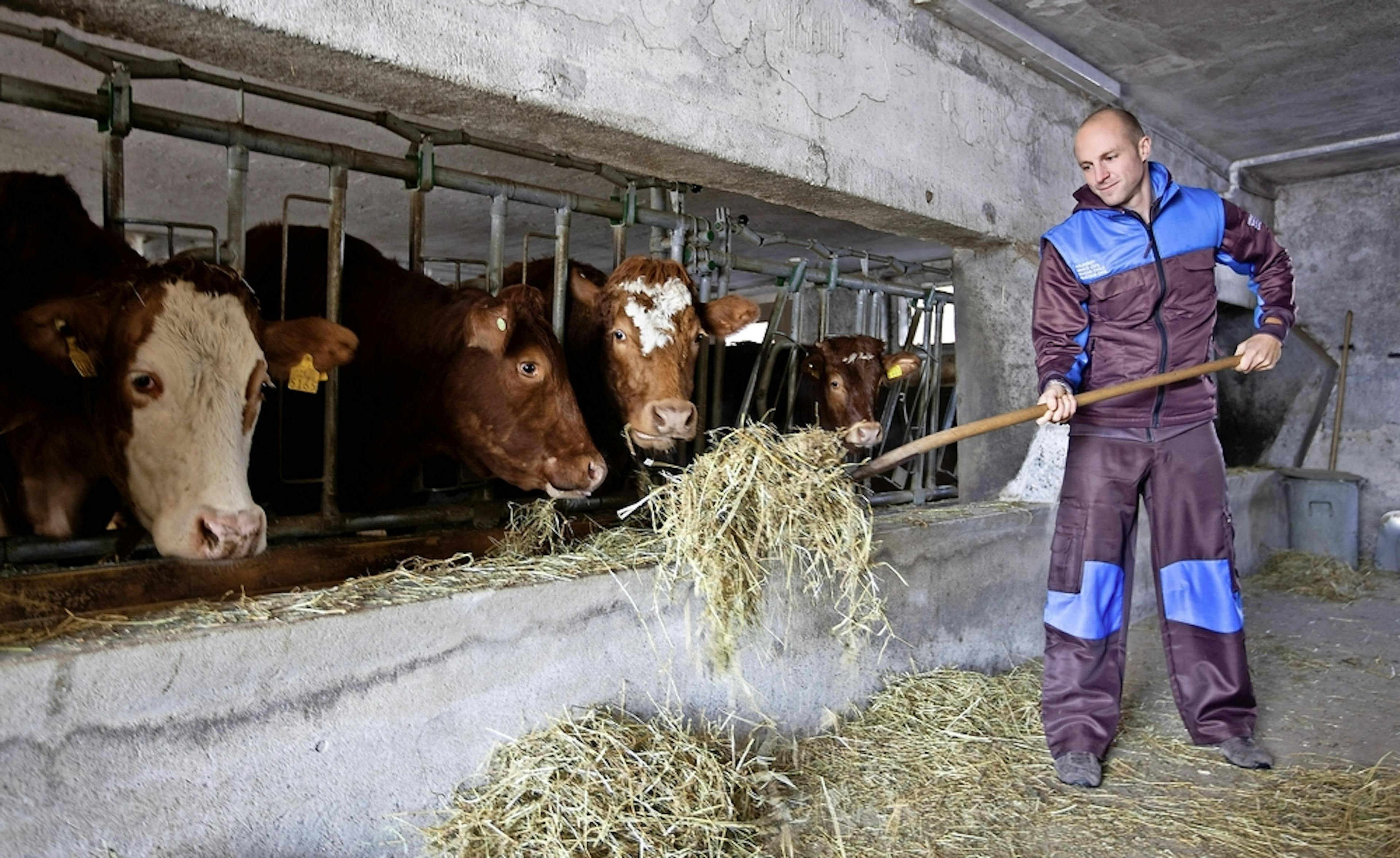 Les civilistes représentent «une main d’œuvre complémentaire bienvenue», selon le directeur de la Chambre fribourgeoise d’agriculture. 