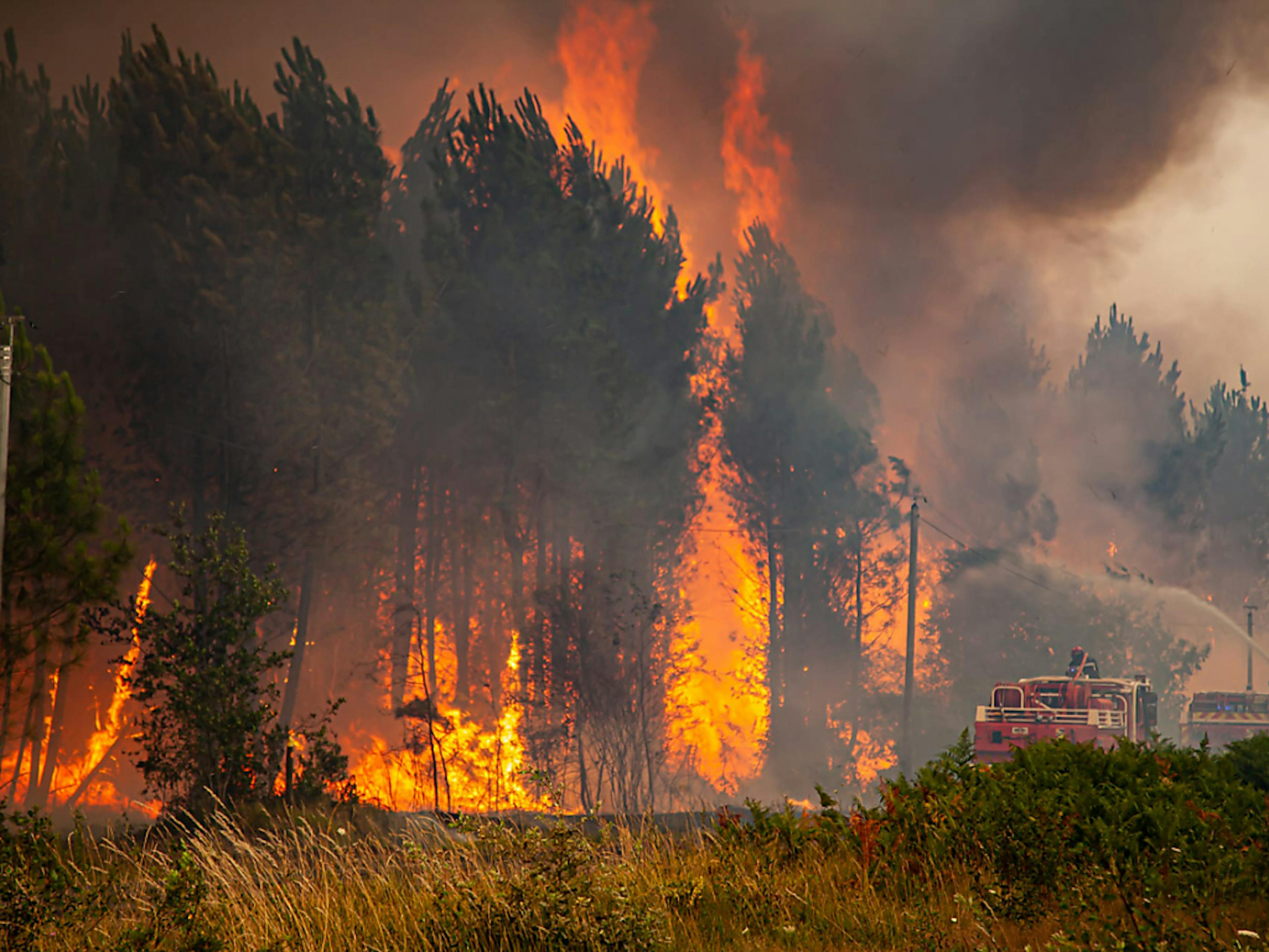 Jeudi, la vigilance "feux de forêt" est montée d'un cran en Gironde qui est passée en rouge (échelle 4/5), une mesure imitée dans le département voisin des Landes vendredi.